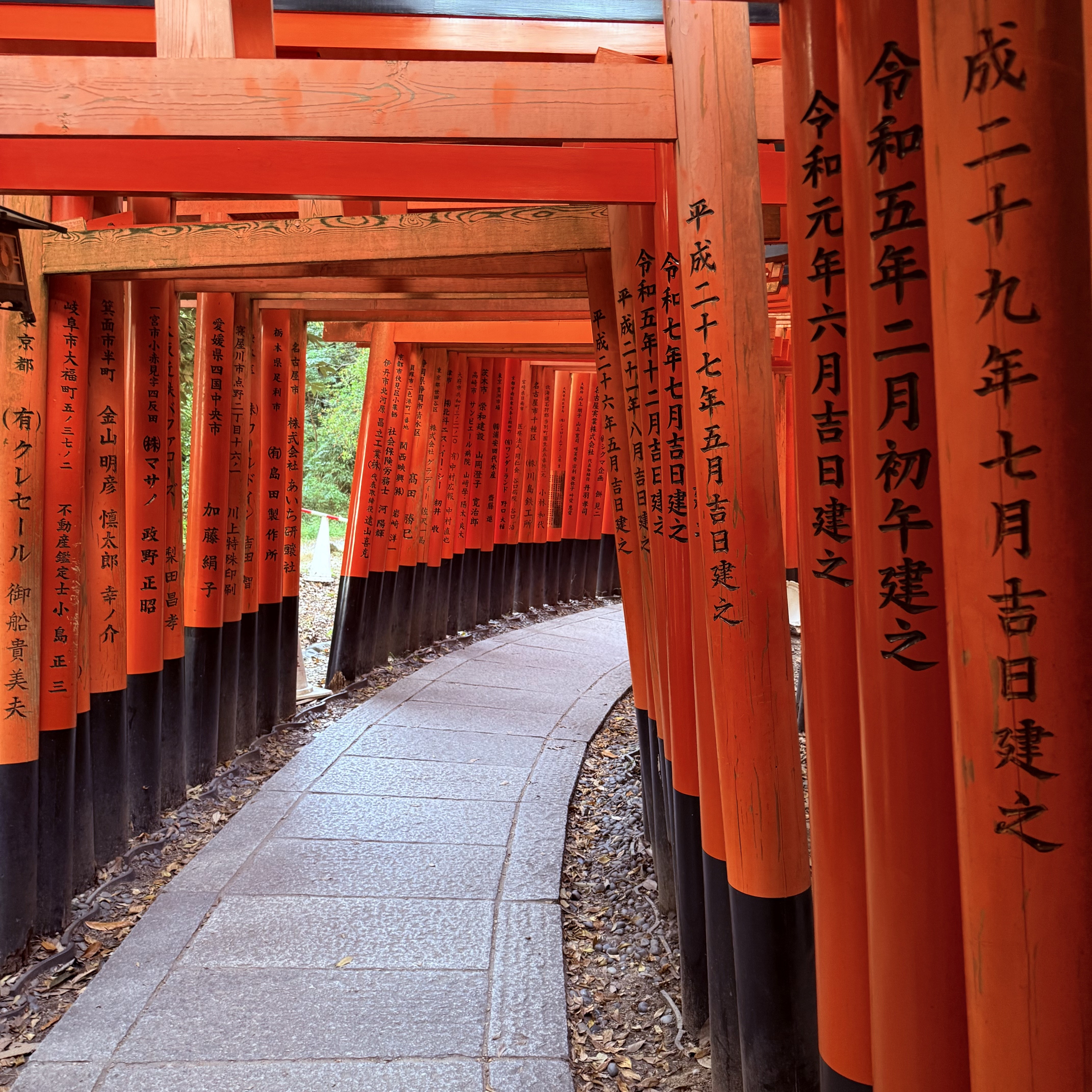 Photograph of Kyoto's city and landscape