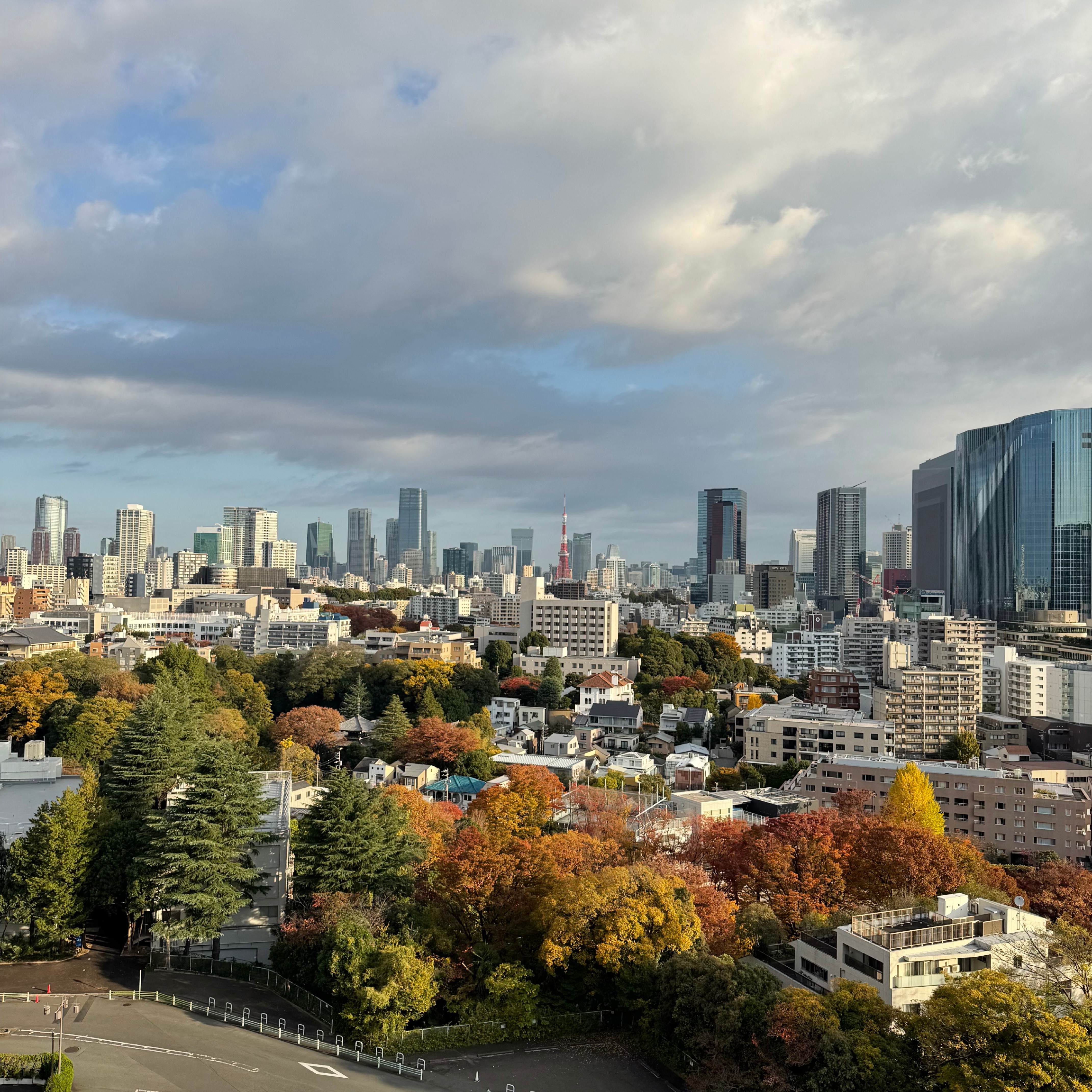 Photograph of Tokyo, Japan night skyline